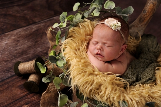 Fotografie Karoart Newbornfotografie Babyfotografie Uster Volketswil Zürich Winterthur 9